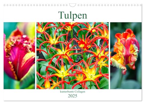 Tulpen - kunterbunte Collagen (Wandkalender 2025 DIN A3 quer), CALVENDO Monatskalender von CALVENDO