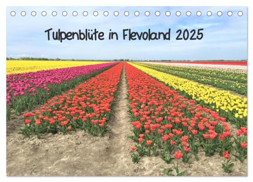 Tulpenblüte in Flevoland 2025 (Tischkalender 2025 DIN A5 quer), CALVENDO Monatskalender von CALVENDO