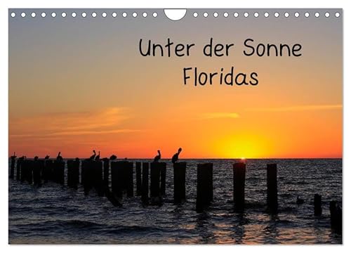 Unter der Sonne Floridas (Wandkalender 2026 DIN A4 quer), CALVENDO Monatskalender: Südliches Florida mit Florida Keys (CALVENDO Orte) von Calvendo