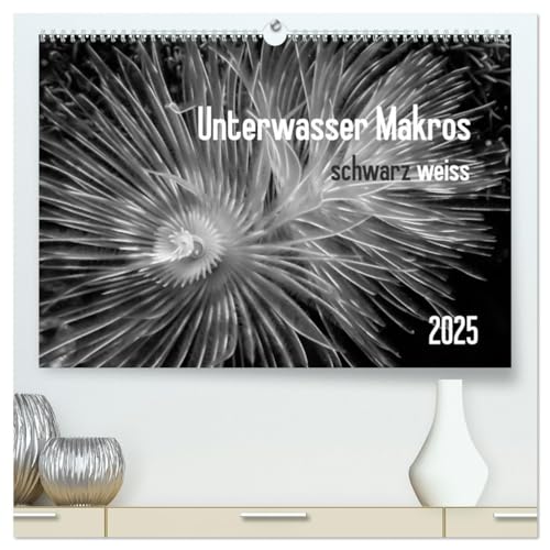 Unterwasser Makros - schwarz weiss 2025 (hochwertiger Premium Wandkalender 2025 DIN A2 quer), Kunstdruck in Hochglanz von CALVENDO