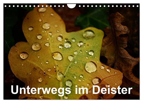 Unterwegs im Deister (Wandkalender 2025 DIN A4 quer), CALVENDO Monatskalender von CALVENDO
