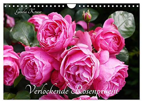 Verlockende Rosenpracht (Wandkalender 2025 DIN A4 quer), CALVENDO Monatskalender von CALVENDO