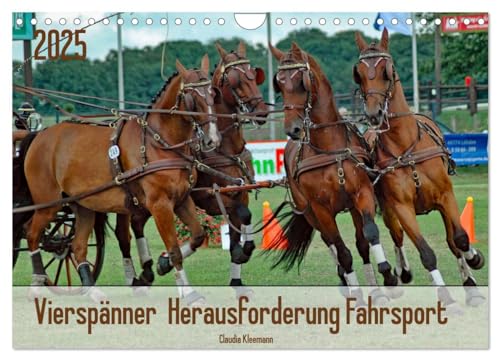 Vierspänner Herausforderung Fahrsport (Wandkalender 2025 DIN A4 quer), CALVENDO Monatskalender von CALVENDO