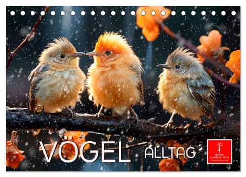 Vögel Alltag (Tischkalender 2024 DIN A5 quer), CALVENDO Monatskalender von CALVENDO