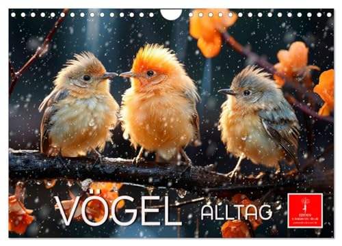Vögel Alltag (Wandkalender 2024 DIN A4 quer), CALVENDO Monatskalender von CALVENDO