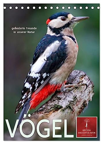 Vögel - gefiederte Freunde in unserer Natur (Tischkalender 2025 DIN A5 hoch), CALVENDO Monatskalender von CALVENDO