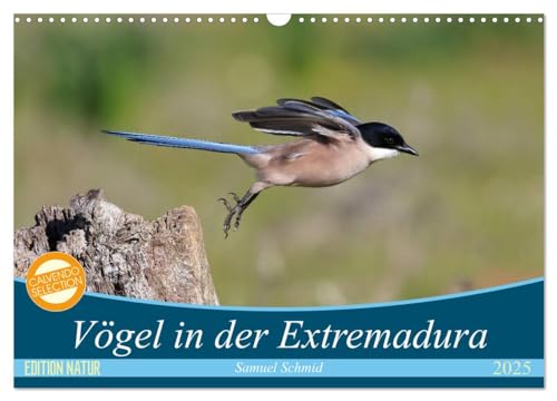 Vögel in der Extremadura (Wandkalender 2025 DIN A3 quer), CALVENDO Monatskalender von CALVENDO