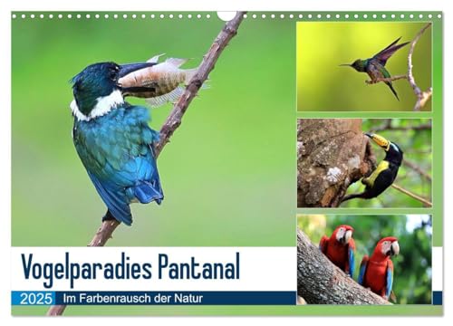 Vogelparadies Pantanal (Wandkalender 2025 DIN A3 quer), CALVENDO Monatskalender: Vogelreichtum im Herzen Südamerikas (CALVENDO Tiere) von Calvendo