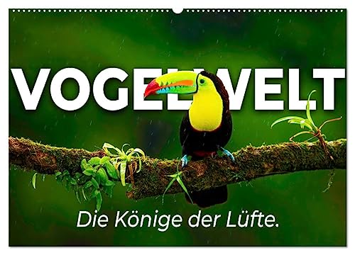 Vogelwelt - Die Könige der Lüfte. (Wandkalender 2025 DIN A2 quer), CALVENDO Monatskalender von CALVENDO