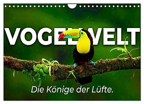 Vogelwelt - Die Könige der Lüfte. (Wandkalender 2025 DIN A4 quer), CALVENDO Monatskalender von CALVENDO