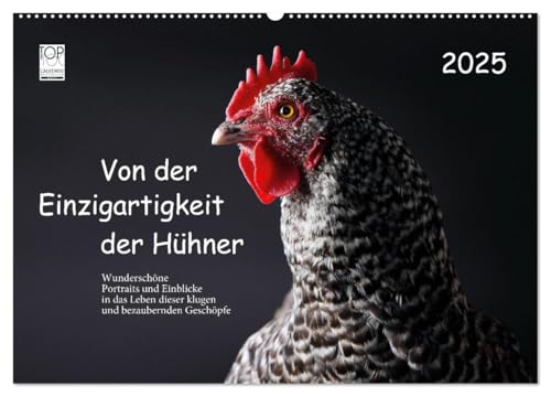 Von der Einzigartigkeit der Hühner 2025 (Wandkalender 2025 DIN A2 quer), CALVENDO Monatskalender von CALVENDO