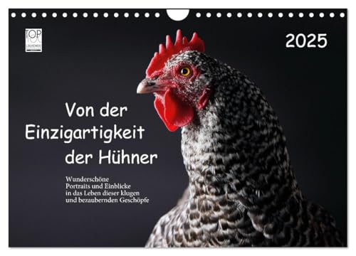 Von der Einzigartigkeit der Hühner 2025 (Wandkalender 2025 DIN A4 quer), CALVENDO Monatskalender von CALVENDO
