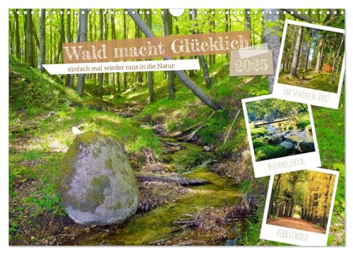 Wald macht glücklich (Wandkalender 2025 DIN A3 quer), CALVENDO Monatskalender von CALVENDO