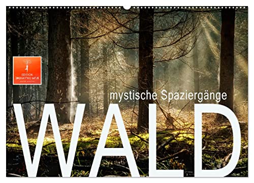 Wald - mystische Spaziergänge (Wandkalender 2025 DIN A2 quer), CALVENDO Monatskalender von CALVENDO