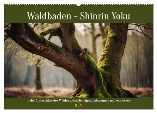 Waldbaden - Shinrin Yoku (Wandkalender 2025 DIN A2 quer), CALVENDO Monatskalender: In der Atmosphäre des Waldes entschleunigen, entspannen und entdecken (CALVENDO Gesundheit) von Calvendo