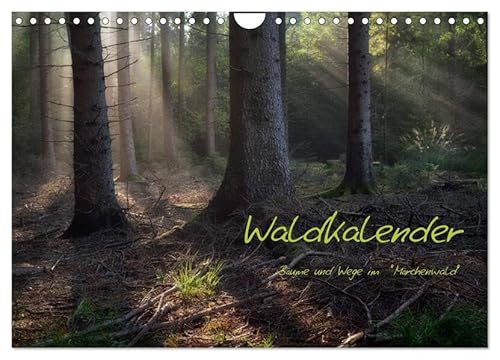 Waldkalender (Wandkalender 2026 DIN A4 quer), CALVENDO Monatskalender: Wege und Bäume wie im Märchenwald (CALVENDO Natur) von Calvendo