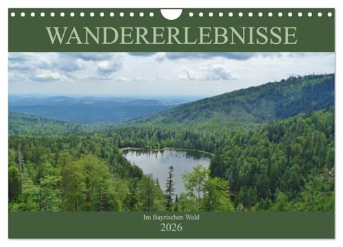 Wandererlebnisse im Bayrischen Wald (Wandkalender 2026 DIN A4 quer), CALVENDO Monatskalender von CALVENDO