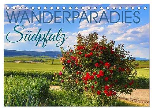 Wanderparadies Südpfalz (Tischkalender 2026 DIN A5 quer), CALVENDO Monatskalender von CALVENDO