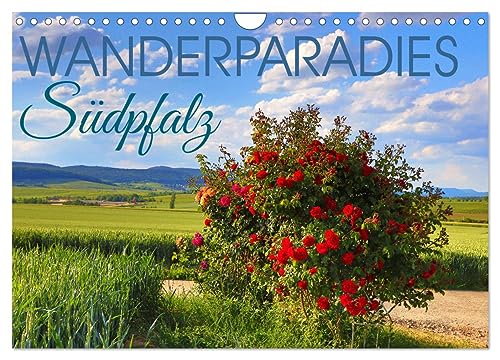 Wanderparadies Südpfalz (Wandkalender 2025 DIN A4 quer), CALVENDO Monatskalender: Beispiele wunderschöner Wandertouren in der Südpfalz zu jeder Jahreszeit (CALVENDO Orte) von Calvendo