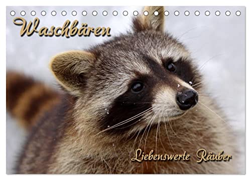 Waschbären (Tischkalender 2025 DIN A5 quer), CALVENDO Monatskalender von CALVENDO