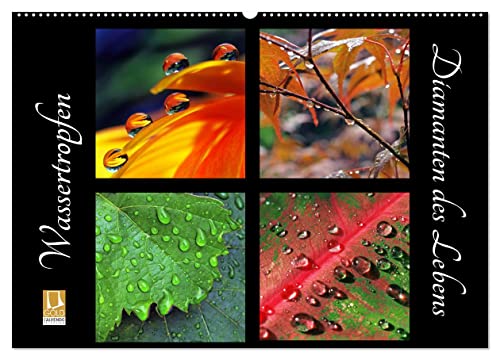 Wassertropfen - Diamanten des Lebens (Wandkalender 2025 DIN A2 quer), CALVENDO Monatskalender von CALVENDO