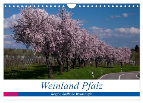 Weinland Pfalz - Region Südliche Weinstraße (Wandkalender 2025 DIN A4 quer), CALVENDO Monatskalender: Die Pfalz, meine persönlichen Eindrücke (CALVENDO Orte) von Calvendo