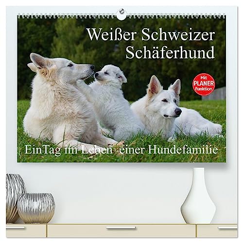 Weißer Schweizer Schäferhund - Ein Tag im Leben einer Hundefamilie (hochwertiger Premium Wandkalender 2025 DIN A2 quer), Kunstdruck in Hochglanz: Auf ... einer Hundefamilie teilhaben (CALVENDO Tiere)