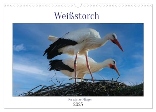 Weißstorch, der stolze Flieger (Wandkalender 2025 DIN A3 quer), CALVENDO Monatskalender: Ein prachtvoller Vogel als Glücksbringer. (CALVENDO Tiere) von Calvendo