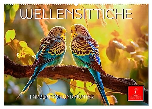Wellensittiche farbenfroh und munter (Wandkalender 2025 DIN A2 quer), CALVENDO Monatskalender: Eindrucksvolle Bilder der beliebten Vögel. (CALVENDO Tiere) von Calvendo
