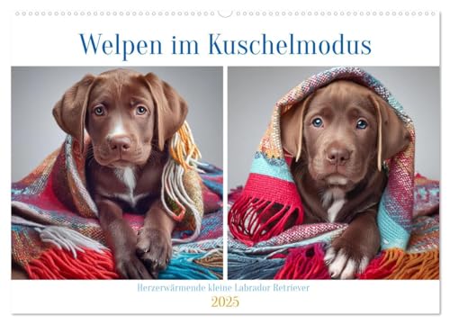Welpen im Kuschelmodus - Herzerwärmende kleine Labrador Retriever (Wandkalender 2025 DIN A2 quer), CALVENDO Monatskalender von CALVENDO