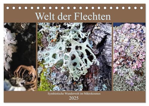 Welt der Flechten (Tischkalender 2025 DIN A5 quer), CALVENDO Monatskalender: Die Vielfalt von Farben und abstrakten Formen dieser symbiotischen ... die es zu entdecken gilt. (CALVENDO Natur) von CALVENDO
