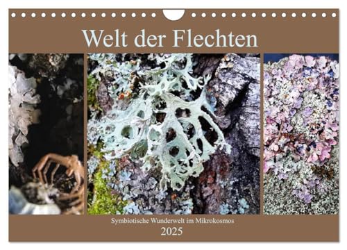 Welt der Flechten (Wandkalender 2025 DIN A4 quer), CALVENDO Monatskalender: Die Vielfalt von Farben und abstrakten Formen dieser symbiotischen ... die es zu entdecken gilt. (CALVENDO Natur) von CALVENDO