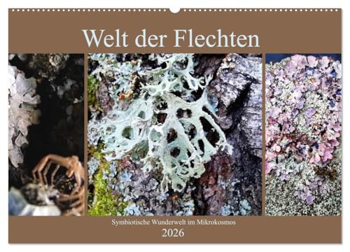 Welt der Flechten (Wandkalender 2026 DIN A2 quer), CALVENDO Monatskalender: Die Vielfalt von Farben und abstrakten Formen dieser symbiotischen ... die es zu entdecken gilt. (CALVENDO Natur) von Calvendo