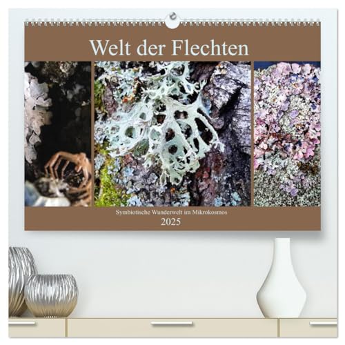Welt der Flechten (hochwertiger Premium Wandkalender 2025 DIN A2 quer), Kunstdruck in Hochglanz: Die Vielfalt von Farben und abstrakten Formen dieser ... die es zu entdecken gilt. (CALVENDO Natur) von CALVENDO