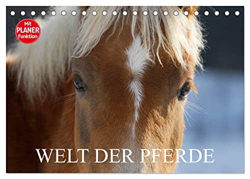 Welt der Pferde (Tischkalender 2025 DIN A5 quer), CALVENDO Monatskalender von CALVENDO