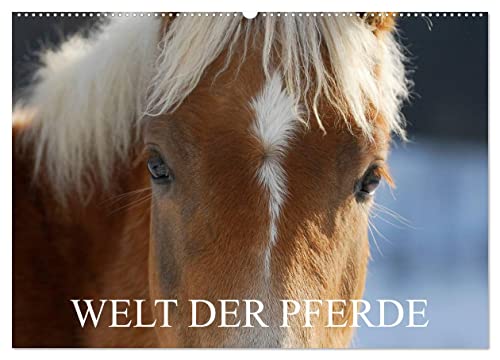 Welt der Pferde (Wandkalender 2025 DIN A2 quer), CALVENDO Monatskalender von CALVENDO