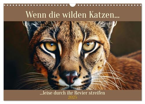 Wenn die wilden Katzen leise durch ihr Revier streifen (Wandkalender 2025 DIN A3 quer), CALVENDO Monatskalender von CALVENDO