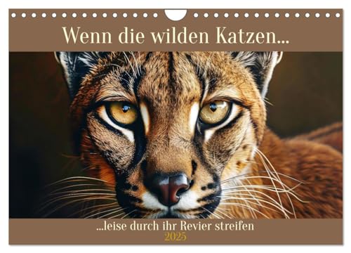 Wenn die wilden Katzen leise durch ihr Revier streifen (Wandkalender 2025 DIN A4 quer), CALVENDO Monatskalender von CALVENDO