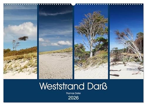 Weststrand Darß (Wandkalender 2026 DIN A2 quer), CALVENDO Monatskalender: Darß, Nationalpark Vorpommersche Boddenlandschaft (CALVENDO Natur) von Calvendo