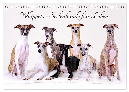 Whippets - Seelenhunde fürs Leben (Tischkalender 2025 DIN A5 quer), CALVENDO Monatskalender: Der Whippet ist die perfekte Mischung aus Kraft und Eleganz (CALVENDO Tiere) von Calvendo