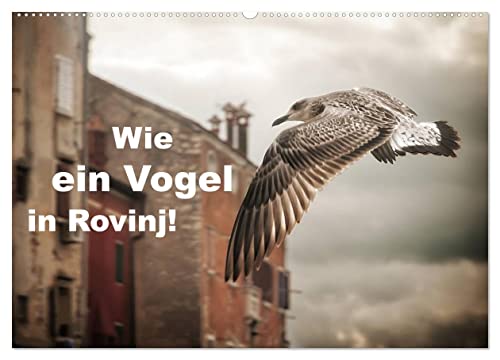Wie ein Vogel in Rovinj! (Wandkalender 2025 DIN A2 quer), CALVENDO Monatskalender von CALVENDO