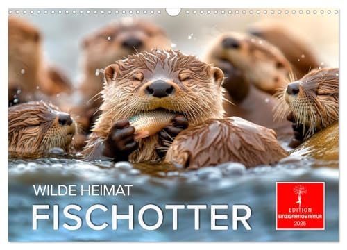 Wilde Heimat - Fischotter (Wandkalender 2025 DIN A3 quer), CALVENDO Monatskalender von CALVENDO