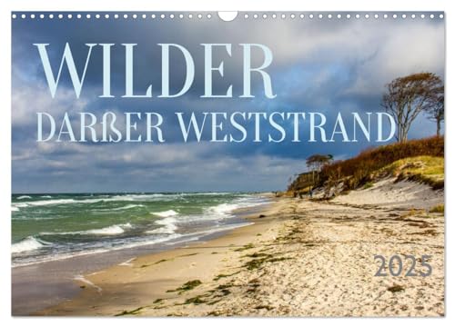 Wilder Darßer Weststrand (Wandkalender 2025 DIN A3 quer), CALVENDO Monatskalender von CALVENDO