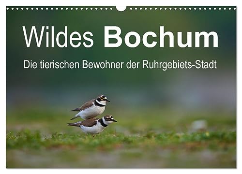 Wildes Bochum (Wandkalender 2025 DIN A3 quer), CALVENDO Monatskalender von CALVENDO