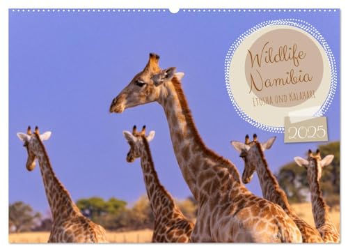 Wildlife Namibia - Etosha und Kalahari (Wandkalender 2025 DIN A2 quer), CALVENDO Monatskalender von CALVENDO