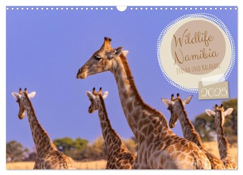 Wildlife Namibia - Etosha und Kalahari (Wandkalender 2025 DIN A3 quer), CALVENDO Monatskalender von CALVENDO