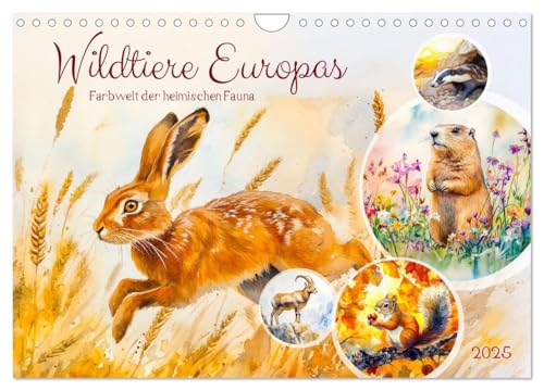 Wildtiere Europas - Farbwelt der heimischen Fauna (Wandkalender 2025 DIN A4 quer), CALVENDO Monatskalender von CALVENDO