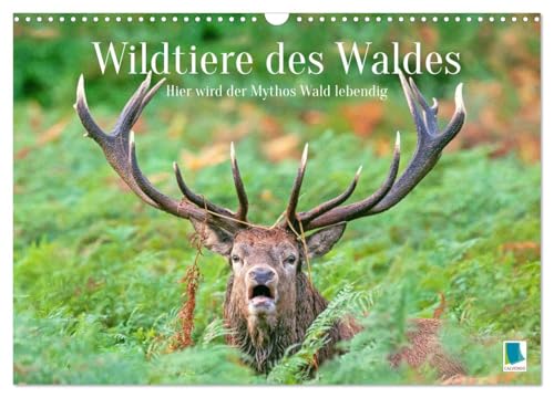 Wildtiere des Waldes: Hier wird der Mythos Wald lebendig (Wandkalender 2025 DIN A3 quer), CALVENDO Monatskalender von CALVENDO