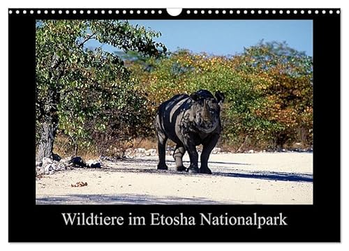 Wildtiere im Etosha Nationalpark (Wandkalender 2026 DIN A3 quer), CALVENDO Monatskalender von CALVENDO