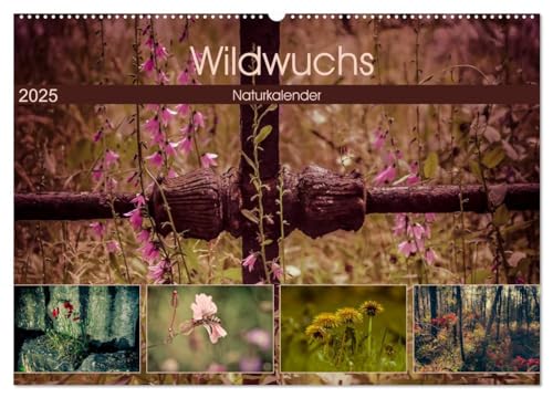 Wildwuchs 2025 (Wandkalender 2025 DIN A2 quer), CALVENDO Monatskalender von CALVENDO